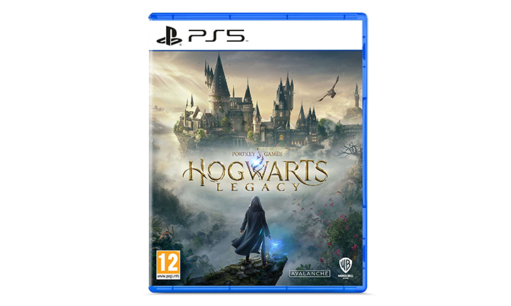 ყვითელი - Hogwarts Legacy - კონსოლის თამაში (PS5)